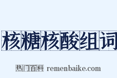 核糖核酸组词是什么意思的图片